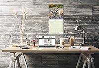 Vista 163 de Razas de Perros 2017