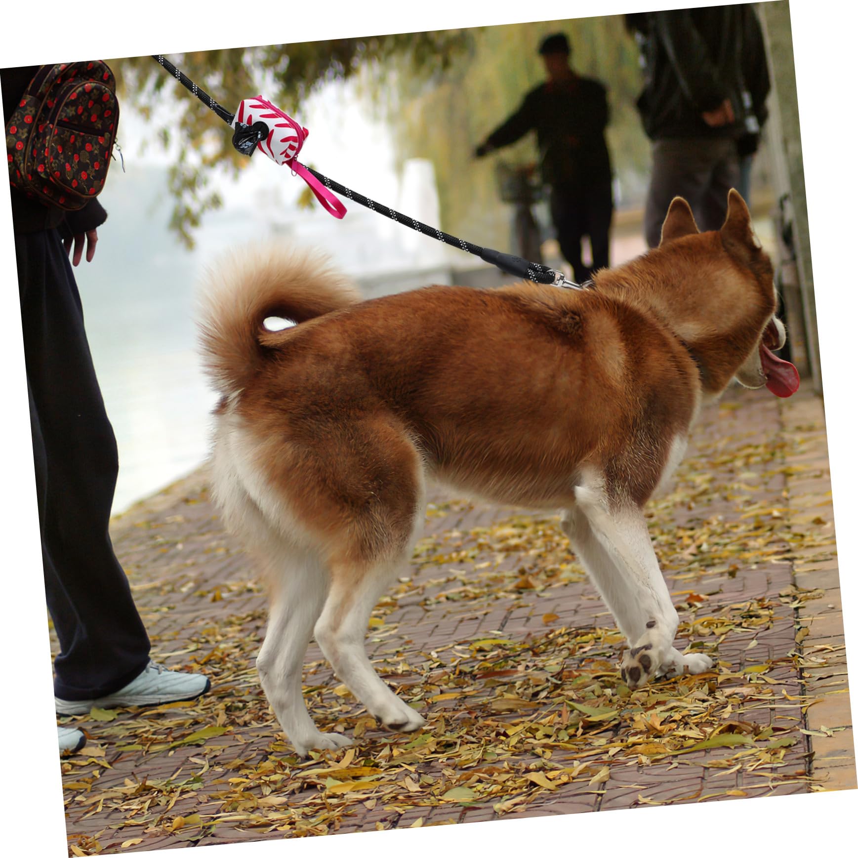 Gatuida Laisse pour Chien Nylon avec Distributeur et Sacs à Déjections Pet Supplies Extérieur pour Chiens Petits et Moyens