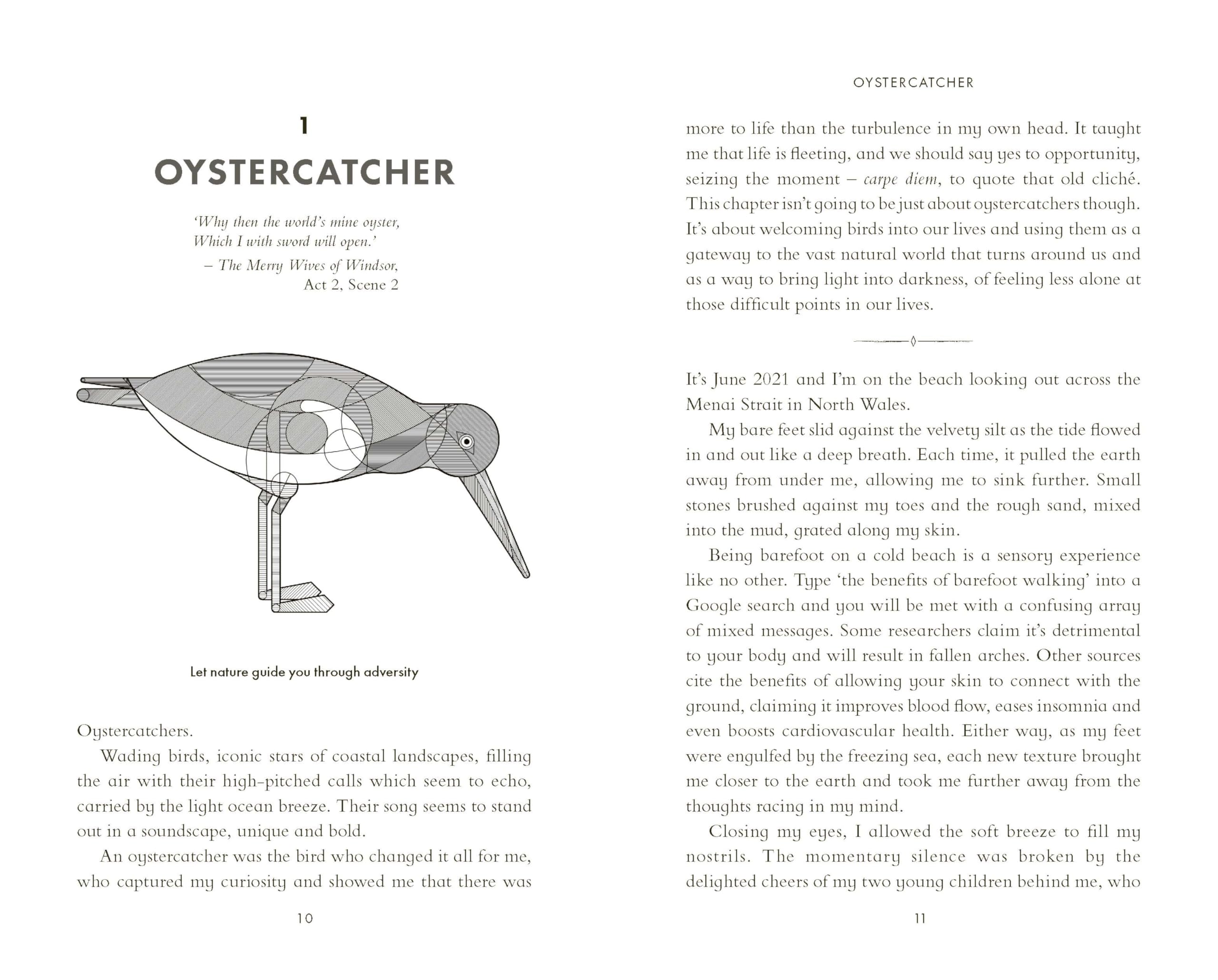 The Life-Affirming Magic of Birds: and the extraordinary things they can teach us