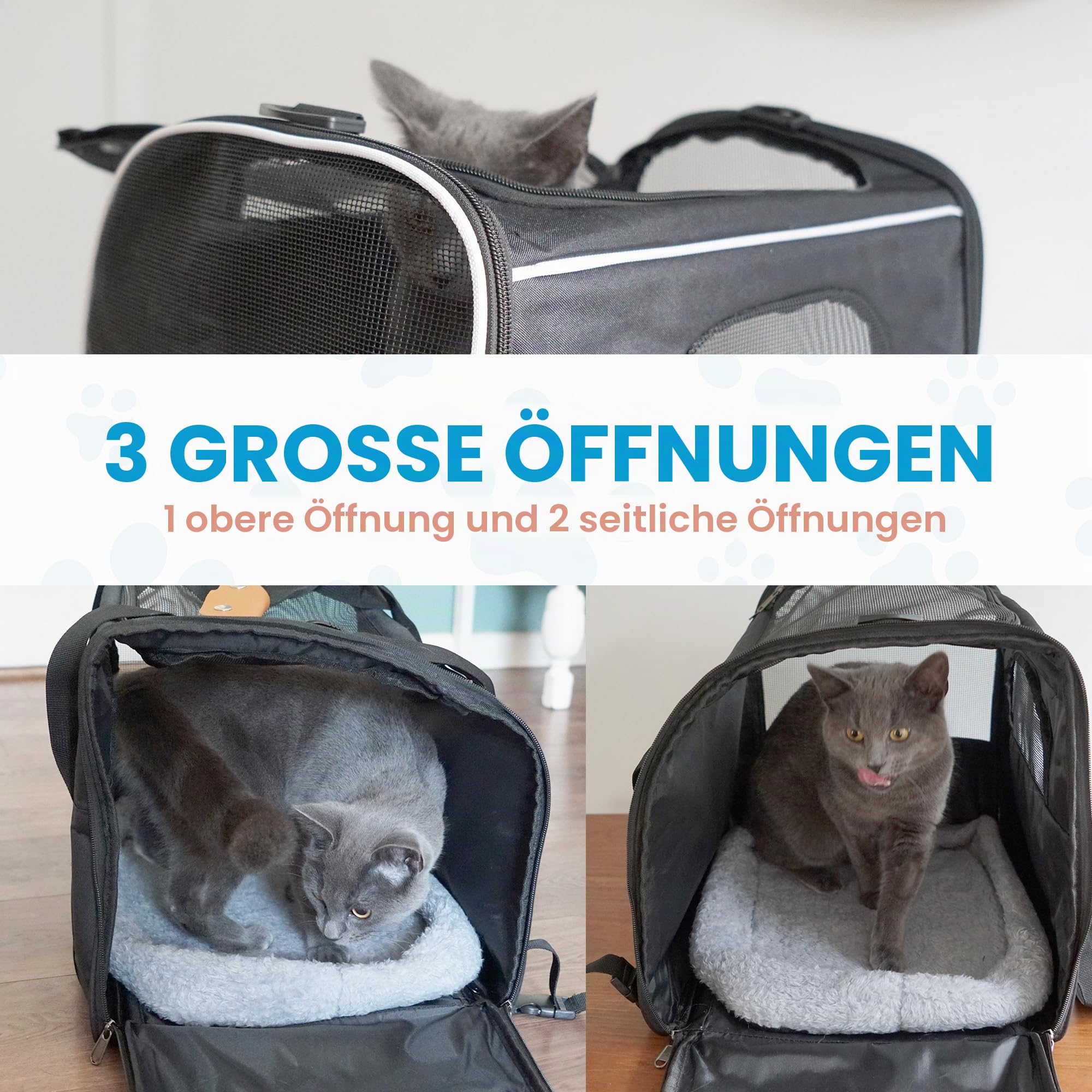 Haustier-Tragetasche für Katzen & kleine Hunde - Leichte, atmungsaktive Haustier-Reisetasche mit Netzseiten, verstärktem Rahmen, Abnehmbarer Matte und Schultergurt für sicheren Transport