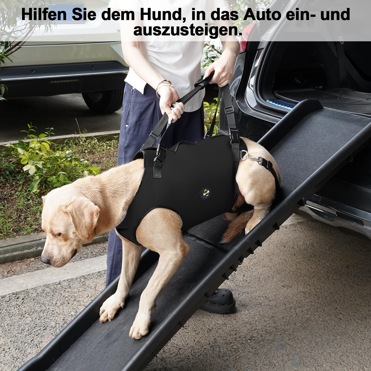 Coodeo Hundetragegurt: Unterstützungs & Rehabilitations-Schlinge, verstellbar gepolstert atmungsaktiv, für ältere, behinderte Hunde mit Gelenkproblemen oder Stabilitätsverlust (Schwarz, XL)