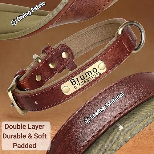 Miniatura 5 de Collar de perro de cuero personalizado y juego de correa, personalizado con diseño acolchado suave resistente con placa de nombre grabada