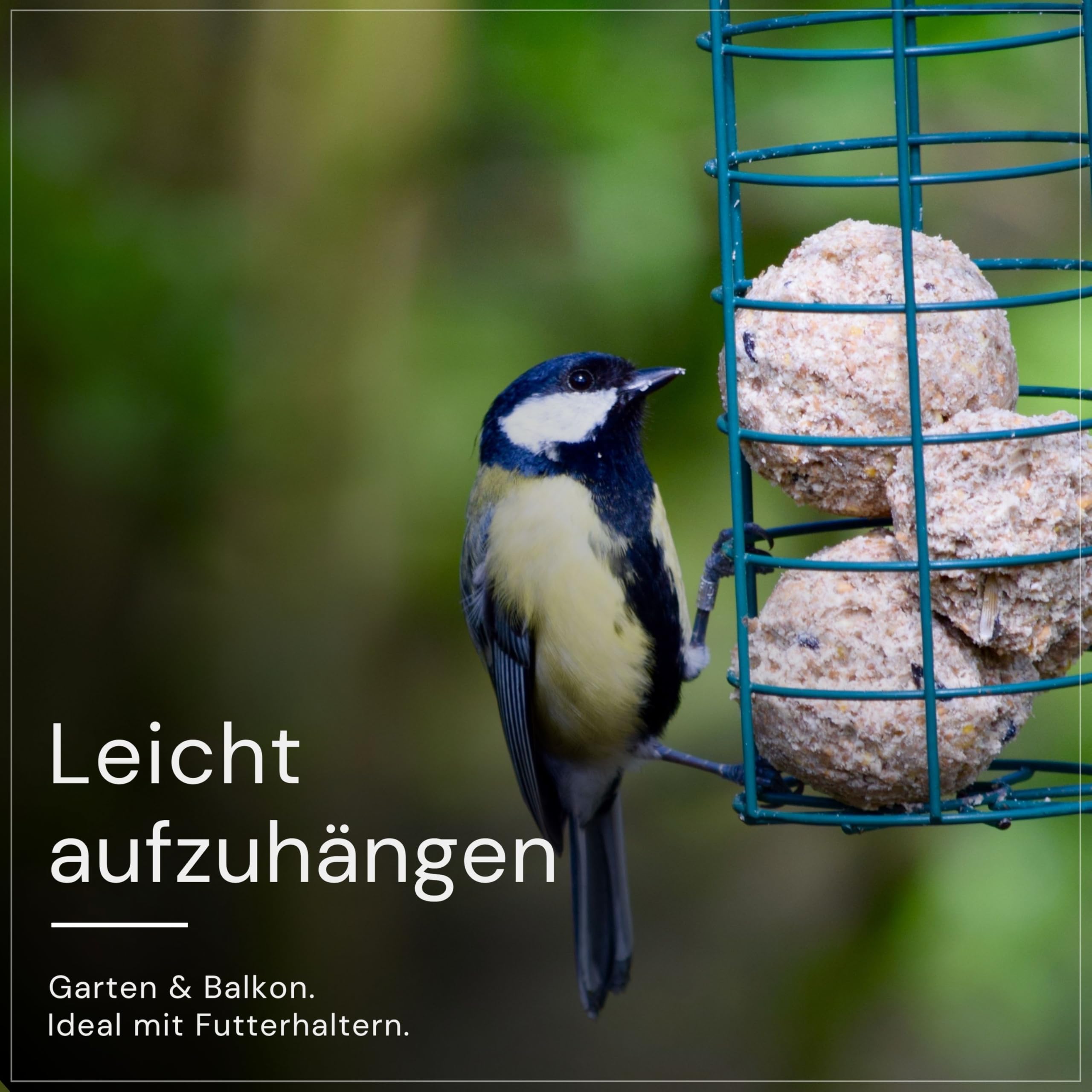 Erdtmanns Meisenknödel ohne Netz 35 Stück im Eimer 3 kg – Wildvogelfutter mit Getreideflocken & Sonnenblumenkernen – umweltfreundlich & ganzjährig – ohne Plastiknetz