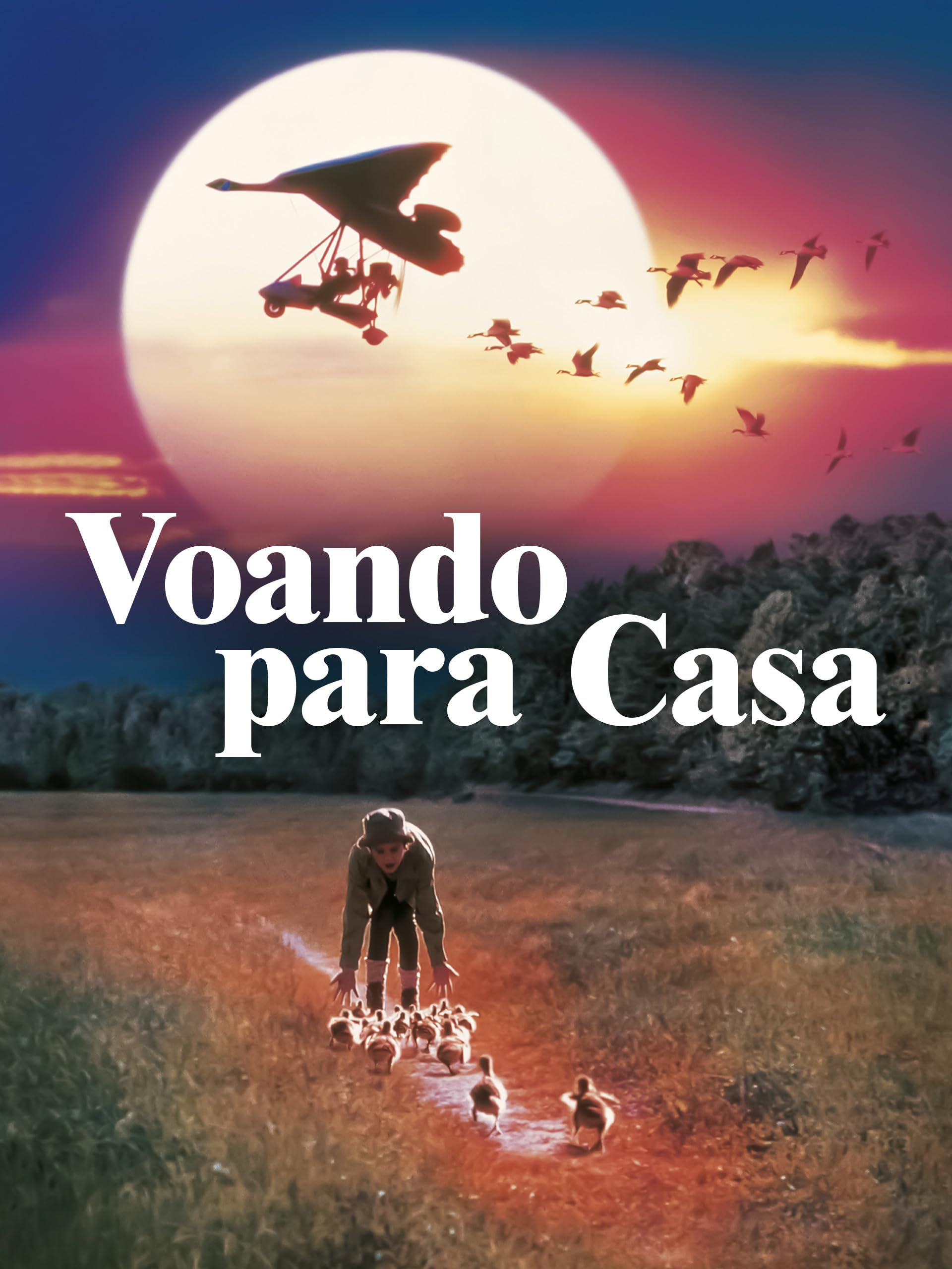 Voando para Casa