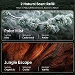 Wood Car Air Freshener Vent Clip, 2-Pack Long Lasting Natural Car Freshener | Plant-Extract Fragrances from MANE France, Hidden Vent Clip & 4 Refill Pads Included