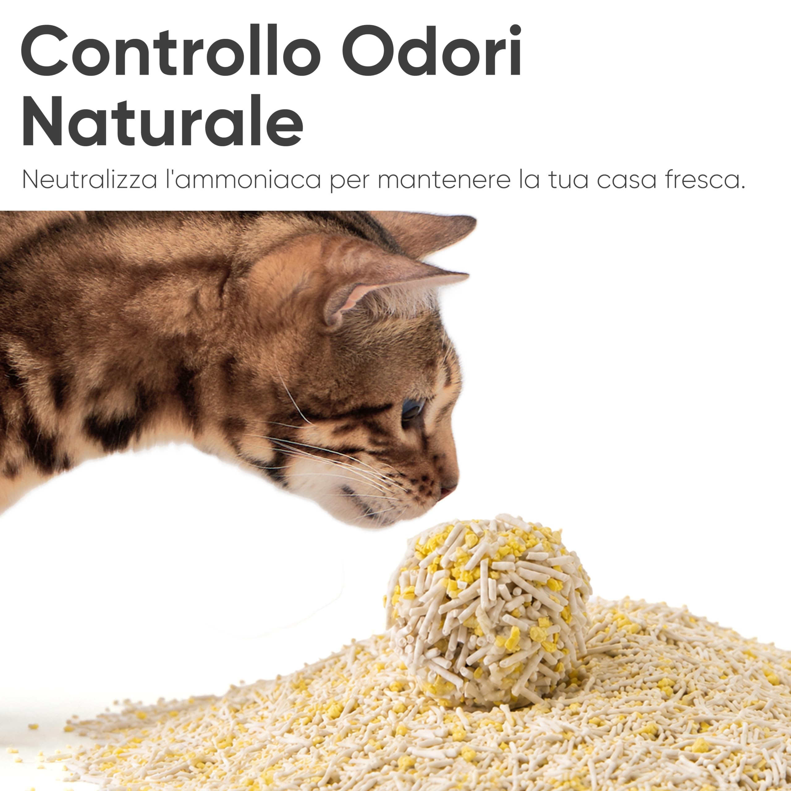 FUKUMARU Lettiera per Gatti al Tofu e Miglio 24Lb, Lettiera Agglomerante a Base Vegetale di Mais, Agglomerante Superiore, Assorbente e Anti-odore, Bassa Polvere, Biodegradabile e Scaricabile nel WC.