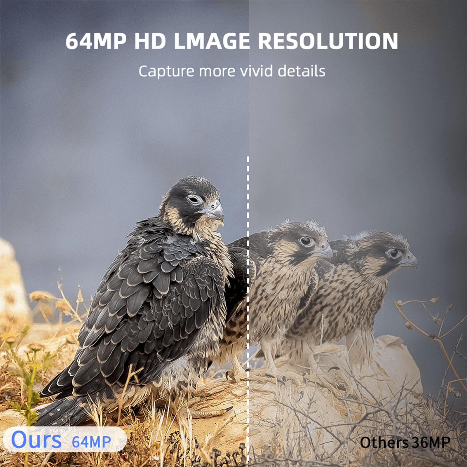 Finish Package 4K 720P Timelapse Camera Include Staffa di Montaggio e Cavo USB per Set Uso Azione Grande
