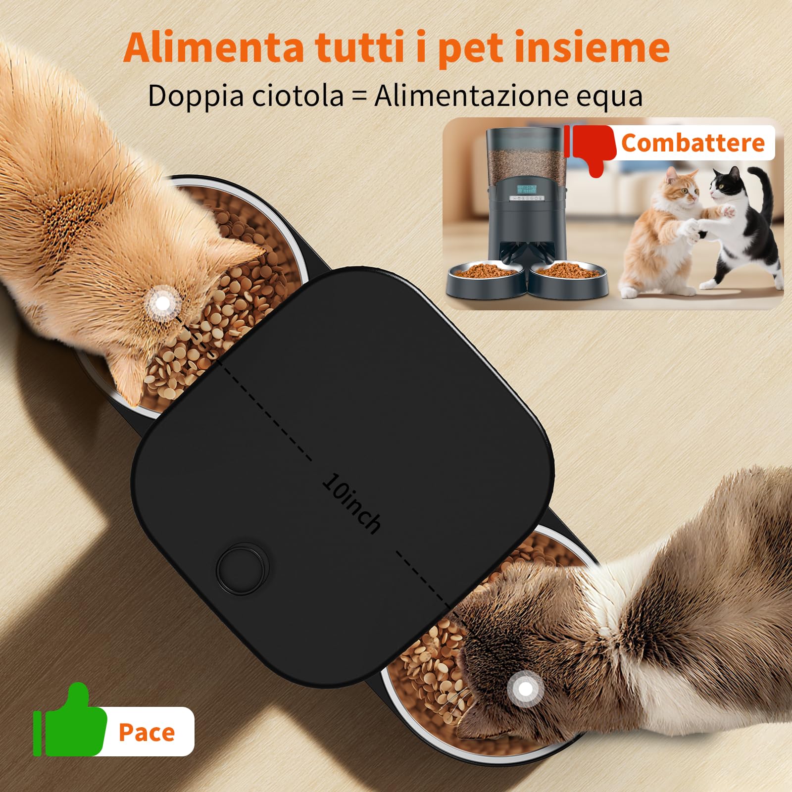 HoneyGuaridan Distributore Automatico Cibo Gatti con Programmable Timer | 3.5L dispenser crocchette gatto, 2 ciotole in acciaio inox 304 e 2 ciotole slow feed, 1-6 pasti/giorno, 1-24 porzioni/pasto