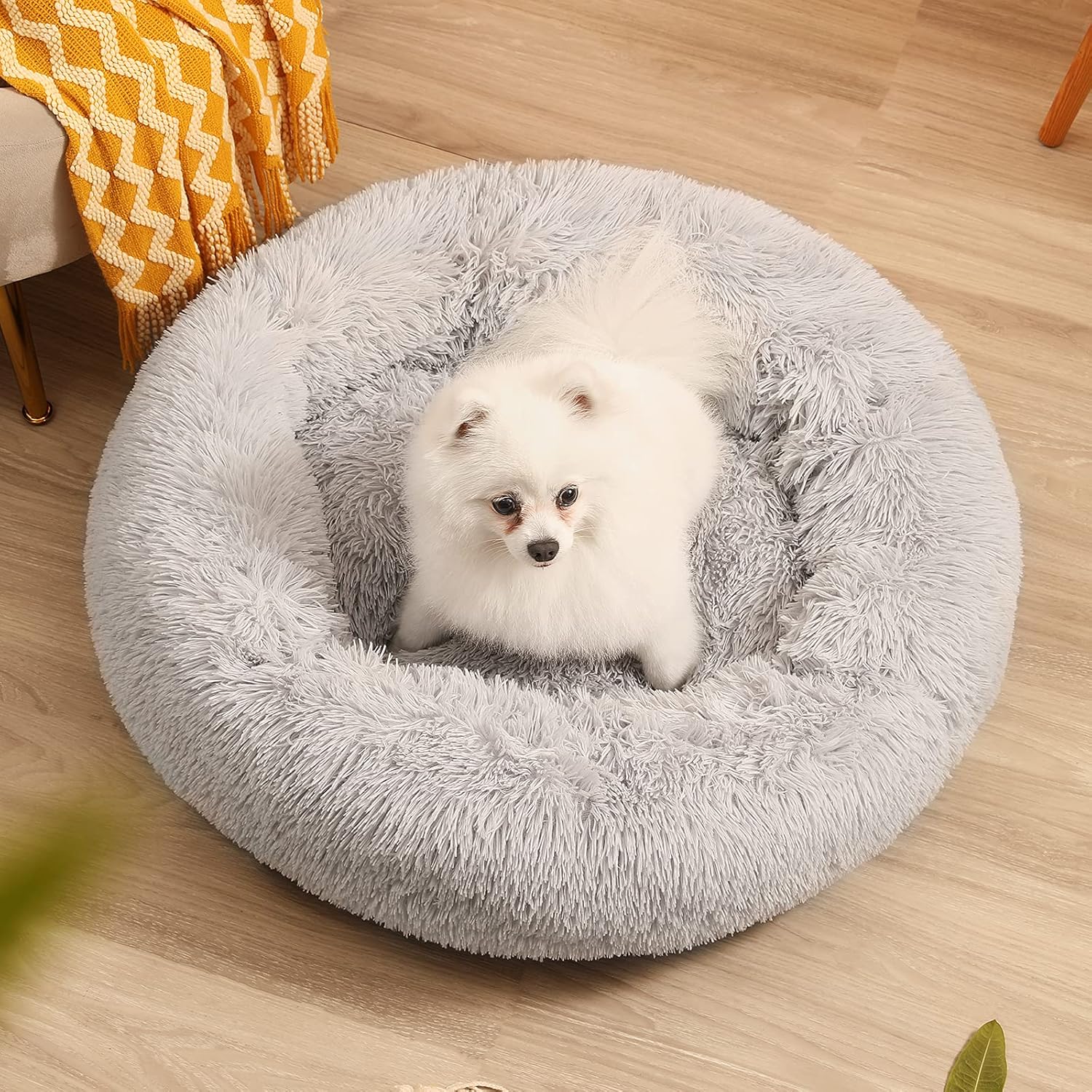 Calming Dog Bed for Small Medium Dogs Cats Donut Dog Bed Pet Cushion Bed Plush Cat Bed Round Anti-Anxiety Dog Bed Orthopedic Dog Bed, Machine Washable, 23inch Grey. : Pet Supplies