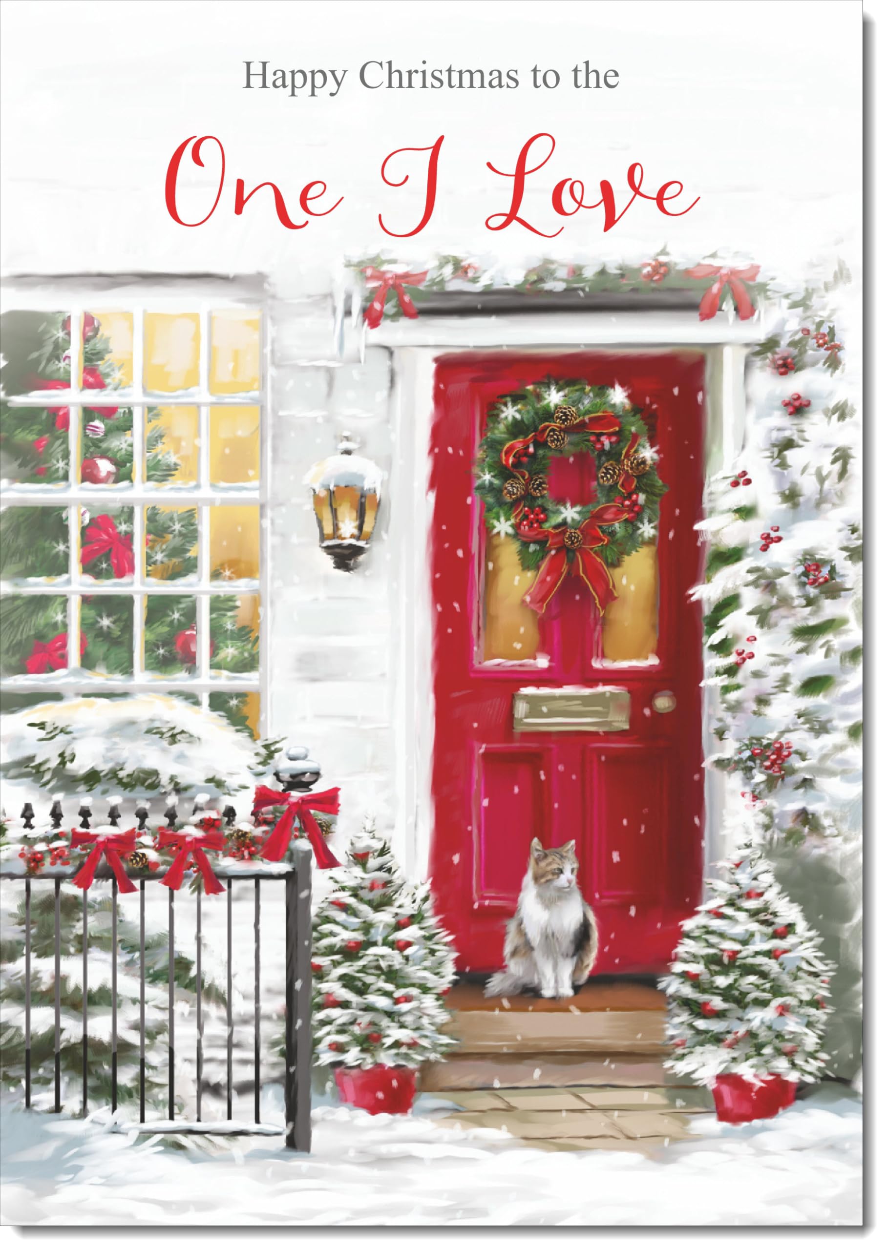 doodlecards One I Love Christmas Card Red Door Large A4 Size Christmas Card for One I Love with Plain Envelope — image 1