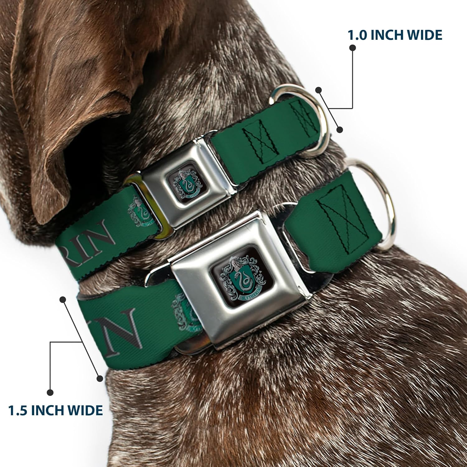 Dog Collar Seatbelt Buckle Harry Potter Slytherin Crest Green Black 20 to 31 Inches 1.5 Inch Wide