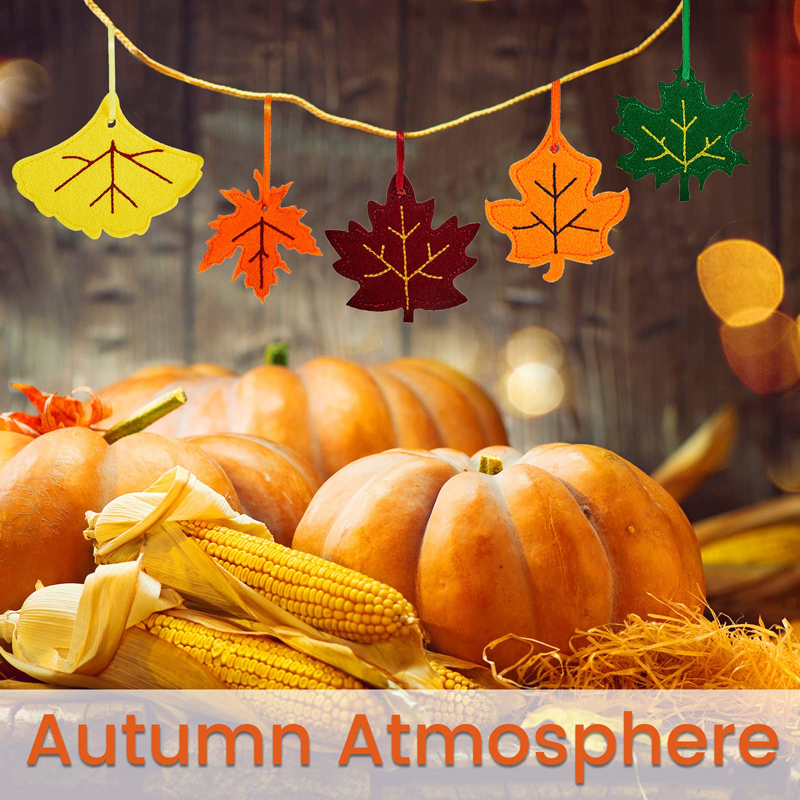 Lot De 25 Glands En Feutre à Suspendre Pour Accessoires Photo