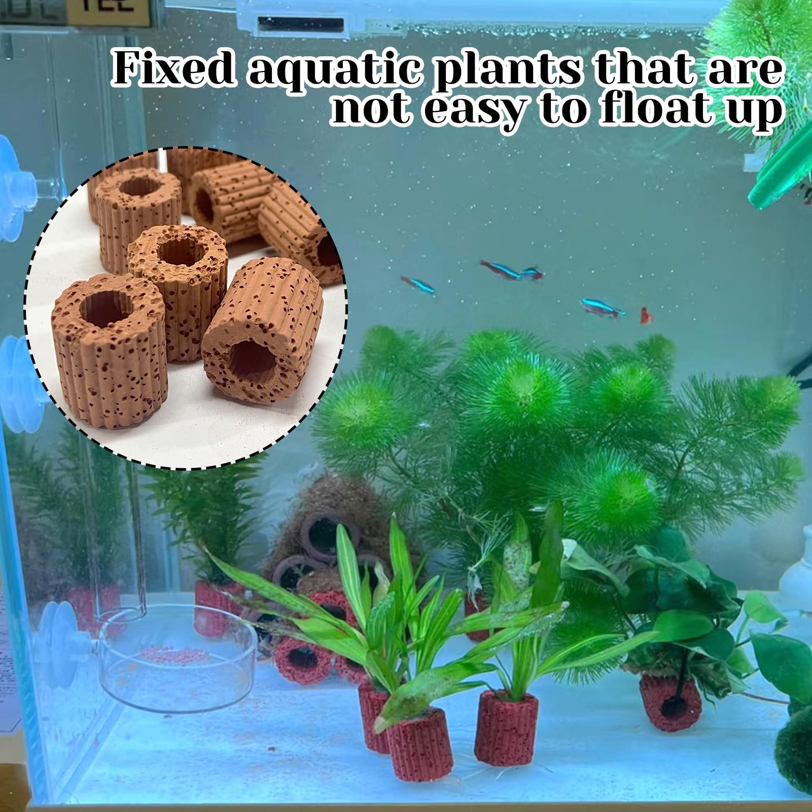 WTpin 10 Stuks Keramische Waterplantringen – Verzwaarde Aquarium Accessoires – Voorkomt Drijven Van Planten – Voor Kleine En Middelgrote Waterplanten