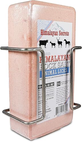 Ladrillo lamiendo animales de sal del Himalaya comprimida (ladrillo de sal de 4.4 lbs con soporte)