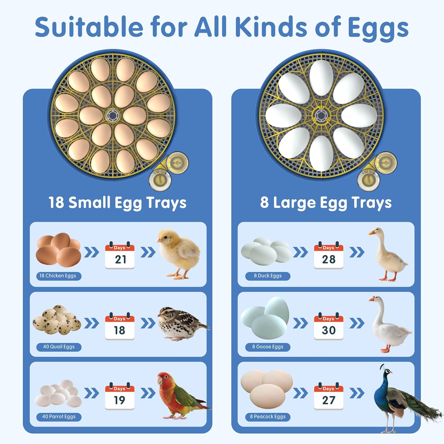 18 Egg Incubators for Hatching Eggs - Automatic Turner, Dual Trays, Digital Thermostat & Humidity Control, 360° View Window, Built-in Egg Candler, Hatches Chicken, Duck, Turkey, Quail, Peacock Eggs