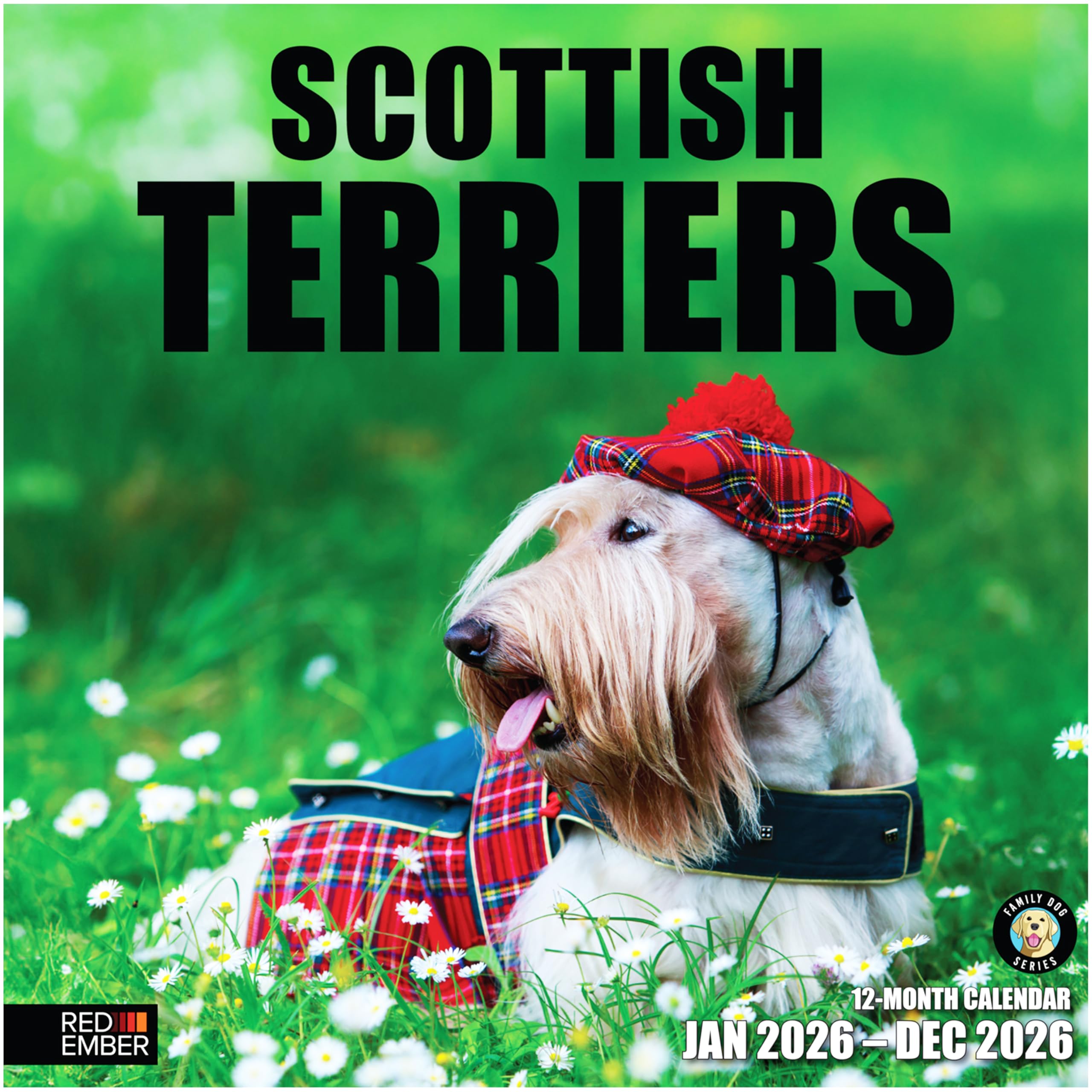 RED EMBER Scottish Terriers 2026 Wall Calendar 12 Month | 12" x 24" Open | Thick & Sturdy Paper | Giftable | Calendar 2026