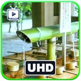 Calmnest Somnia Studios