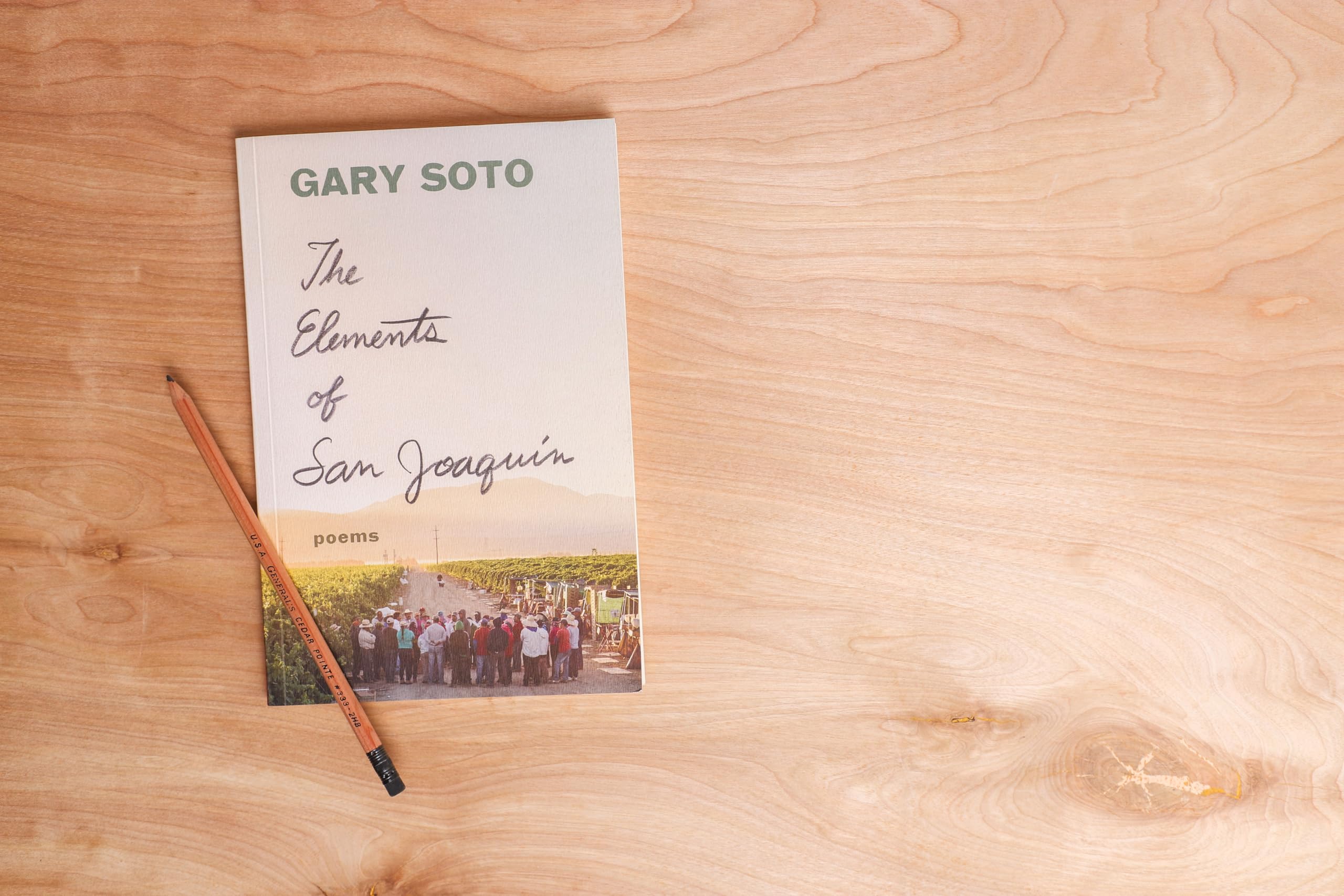 The Elements of San Joaquin: poems (Chicano Poetry, Poems from Prison, Poetry Book) - Image 9