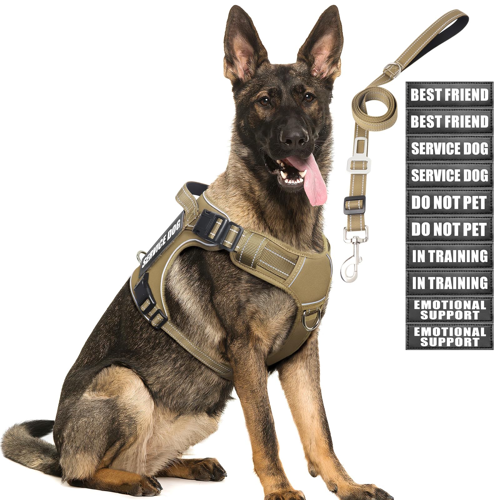 MOOGROU Tactical Dog Harness and Leash Set