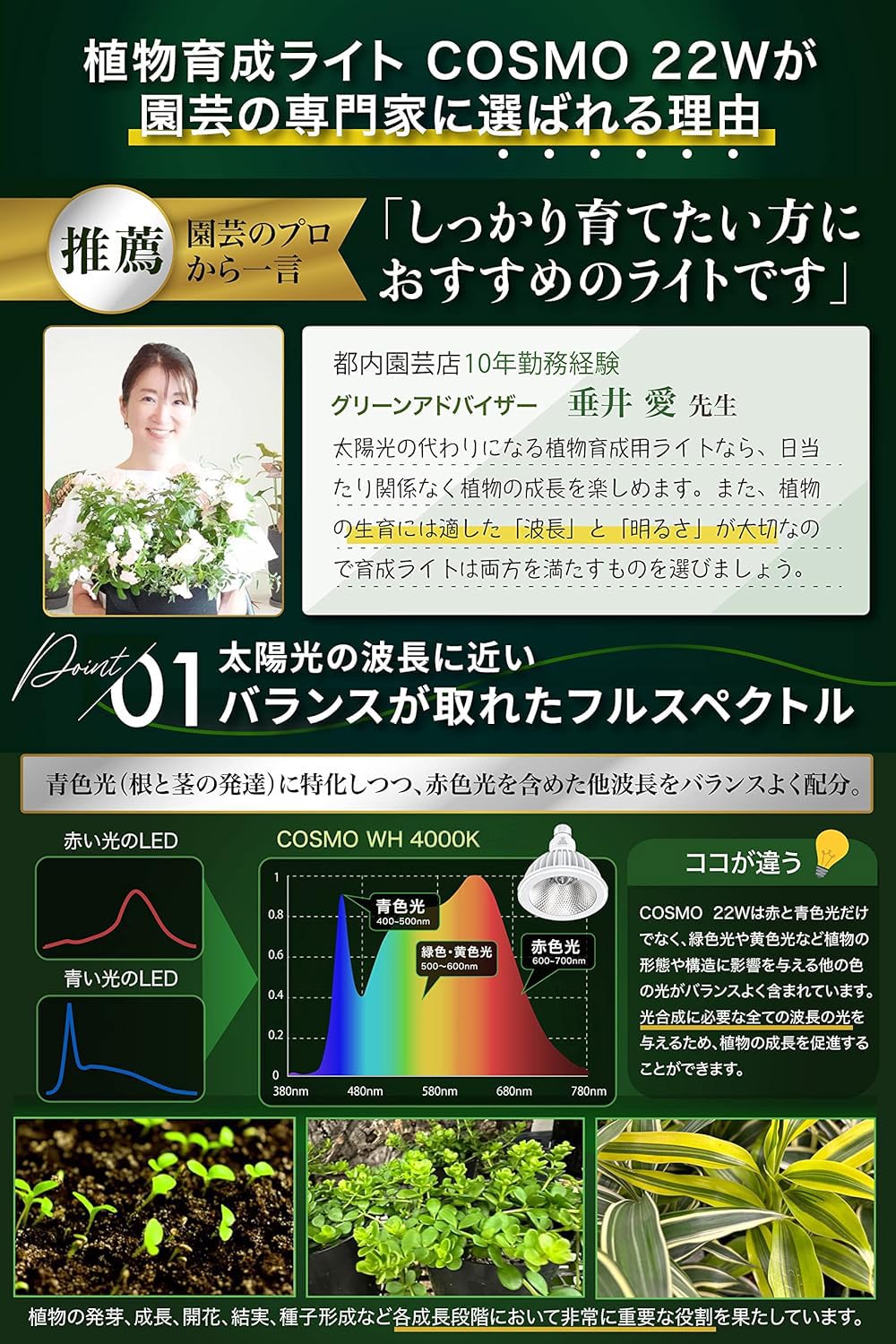 Amazon.co.jp: 【グリーンアドバイザー推薦】BRIM(ブリム) COSMO 植物