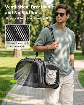 pecute Cat Carrier Stable, Large Space, Pet Carrier Bubble Window,Grey