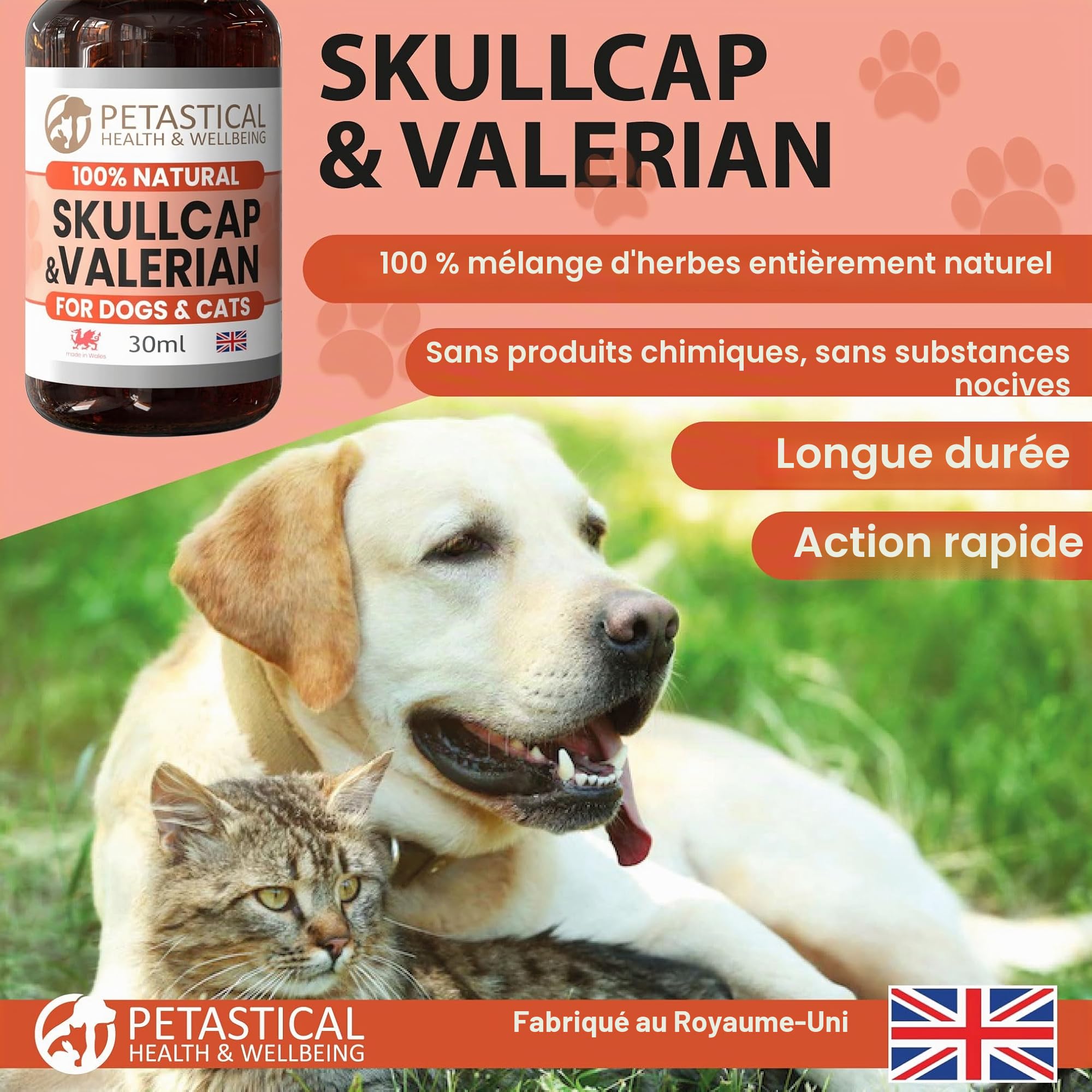 Skullcap Valériane, Chat Chien Calmant, Gouttes Calmantes Anxiété, Seul à la maison, aboiements, Bruits Forts, Feux d'artifice, Voyage (30ml)
