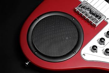 Amazon.co.jp: VOX(ヴォックス) アンプ内蔵ギター APC-1 リズム