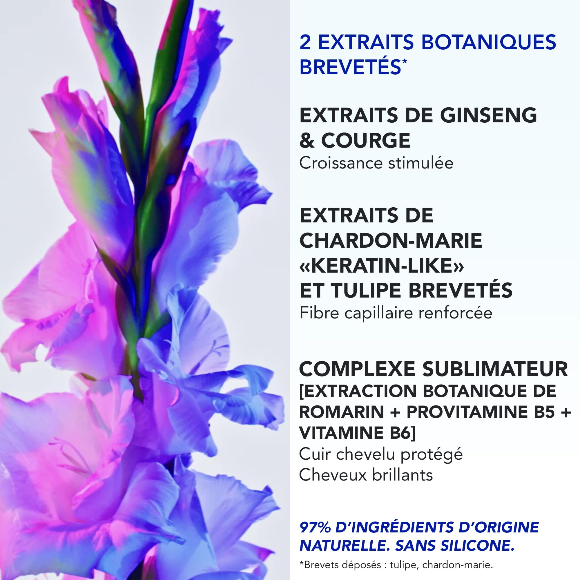 Phyto Paris - Phytophanere - Ultra Sérum Pousse Cheveux - 90% de Cheveux Plus Longs Plus Vite - Boosteur de Longueur - Cliniquement Prouvé - Extraits de Ginseng, Romarin, Vitamine B6Soin Sans Silicone