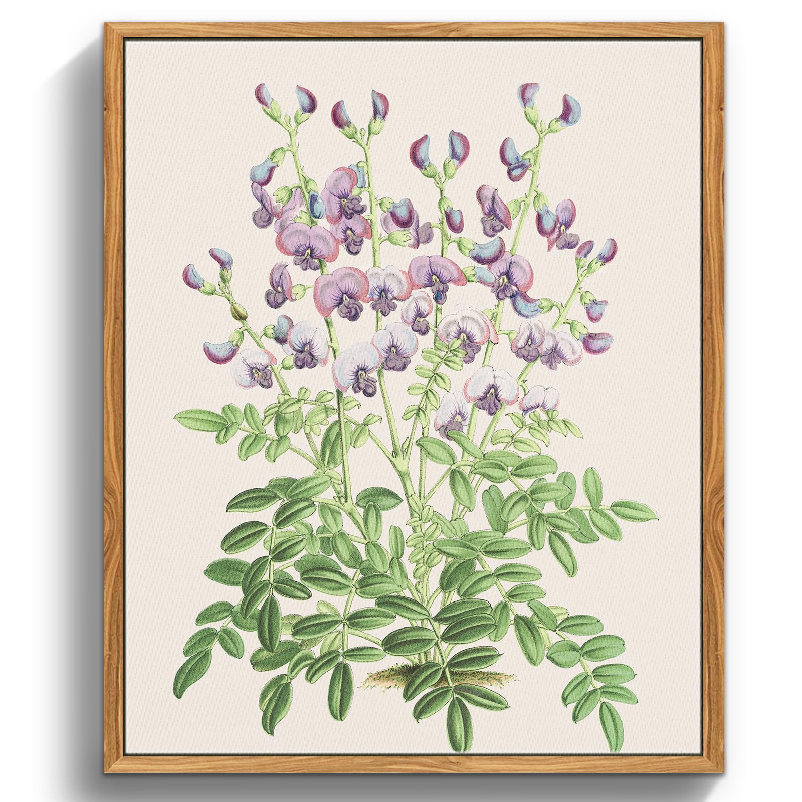 crmotu Floral Framed Wall Art, Pea Flower Vintage Botanical Prints, Nature Plant Canvas Painting, Still Life Aesthetic Rustic Farmhouse Wall Decor Living Room Bedroom Bathroom Pictures, 16x24 inch