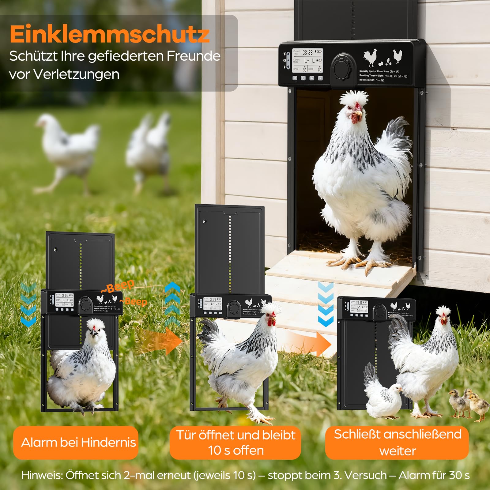 CHAMUTY Große Automatische Hühnerklappe Solar, Aluminum Elektrische Hühnerklappe Automatisch mit Lichtsensor, Zeitschaltuhr, LCD Display, 15M Fernbedienung, Intelligenter Einklemmschutz und Alarm