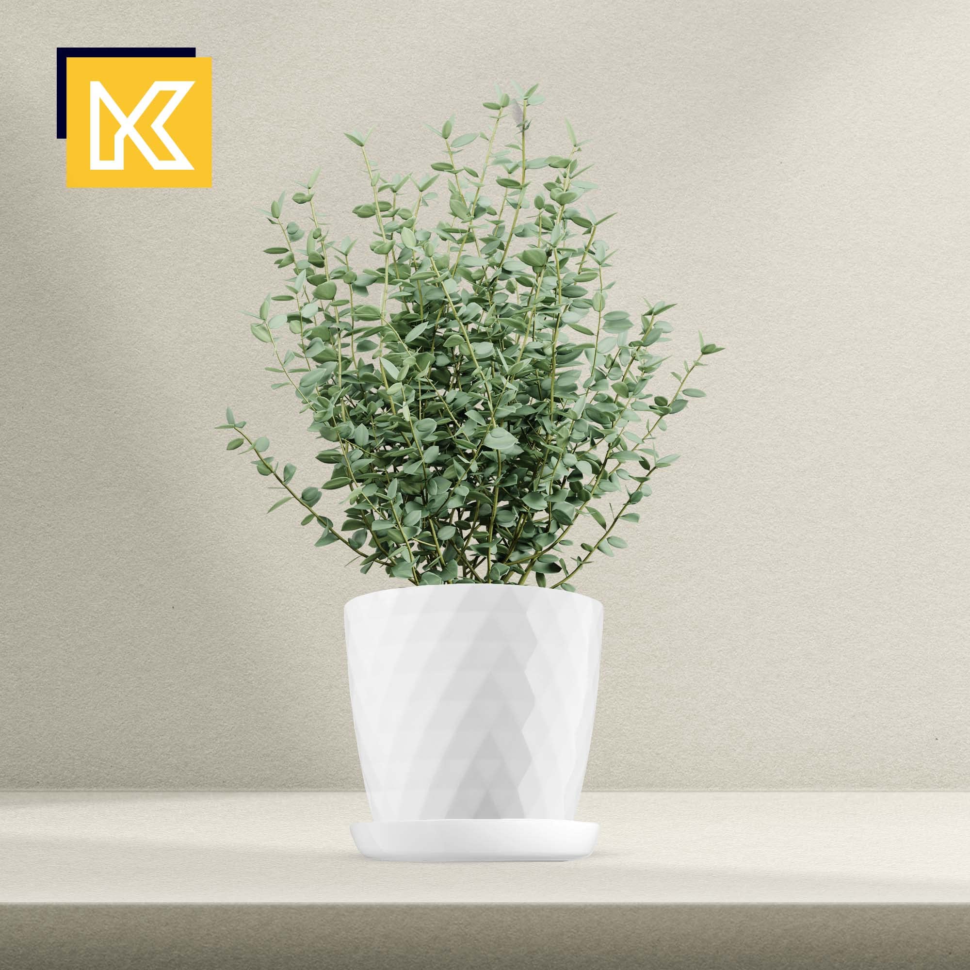 KADAX Pot de Fleurs en Plastique avec Soucoupe, Pot de Plante pour Une Décoration Florale Moderne dans l'espace Interieur (Lot de 3 : Blanc, 25 cm)