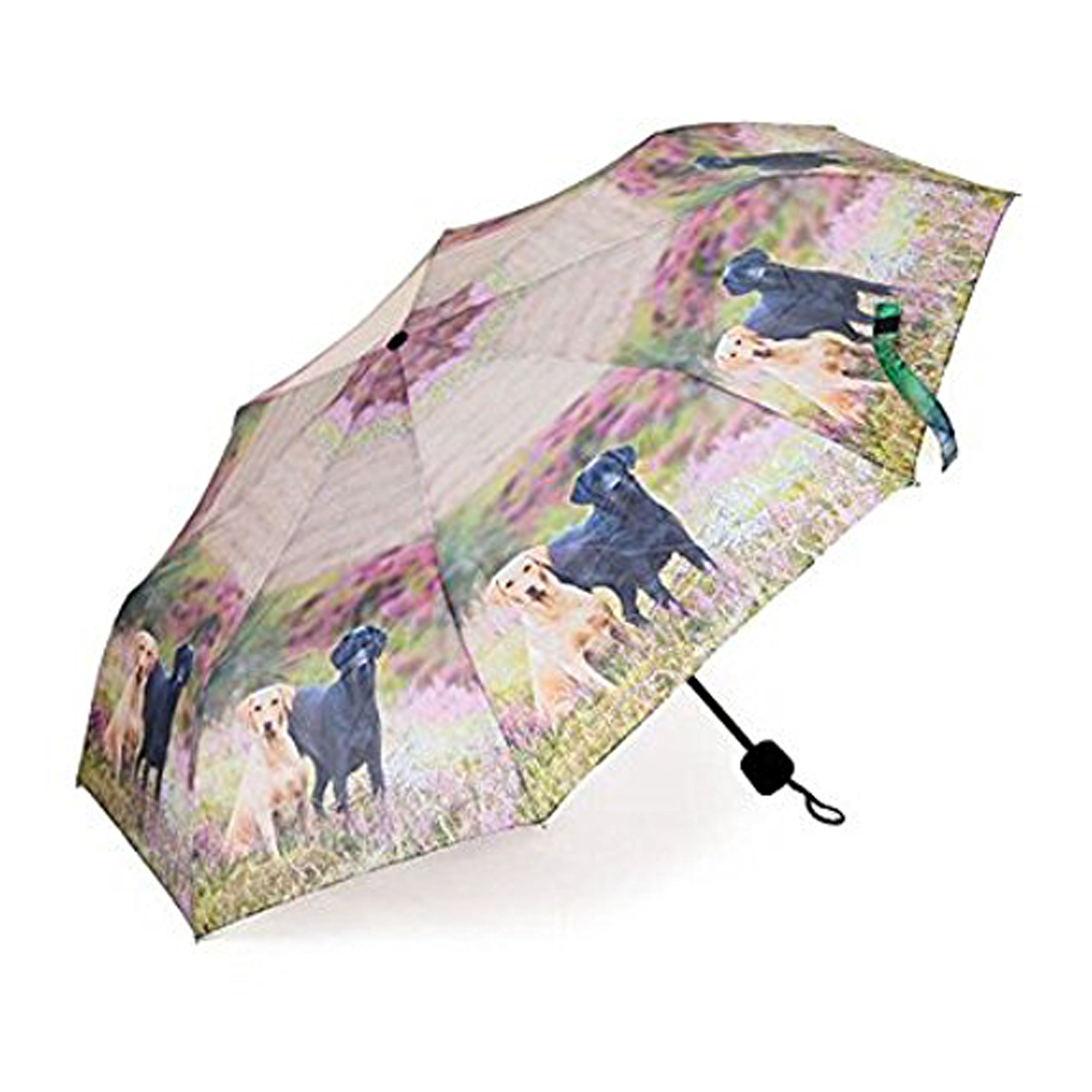 Folding Umbrella - Alert Labs
