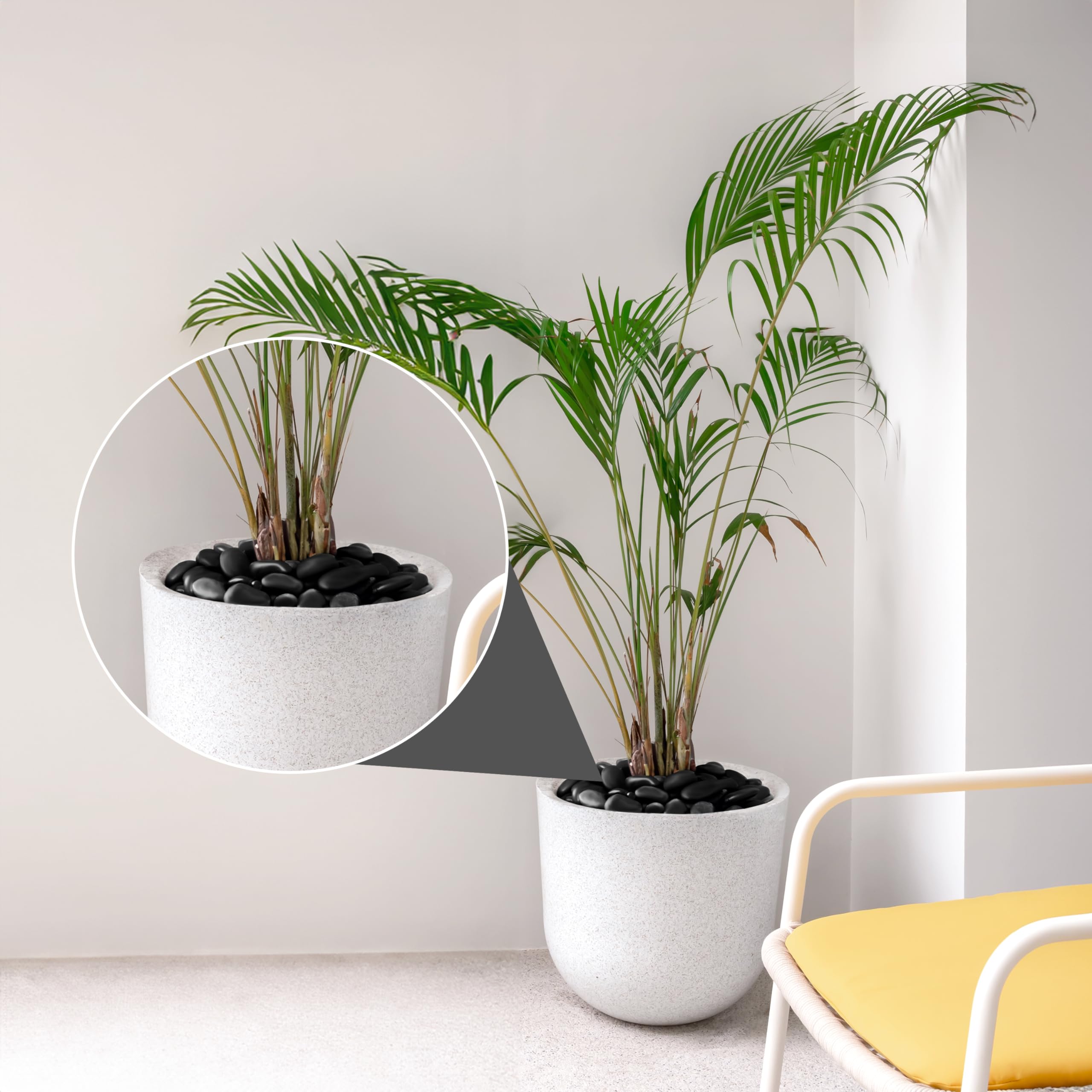 Winter Shore 1,35 kg di Pietre Decorative Nere - Sassi Decorativi per Vasi, Acquari, Paesaggi, Terrari, Piante Grasse di 2,5 e 3 cm - Pietre Naturali di Fiume Levigate e Schermate