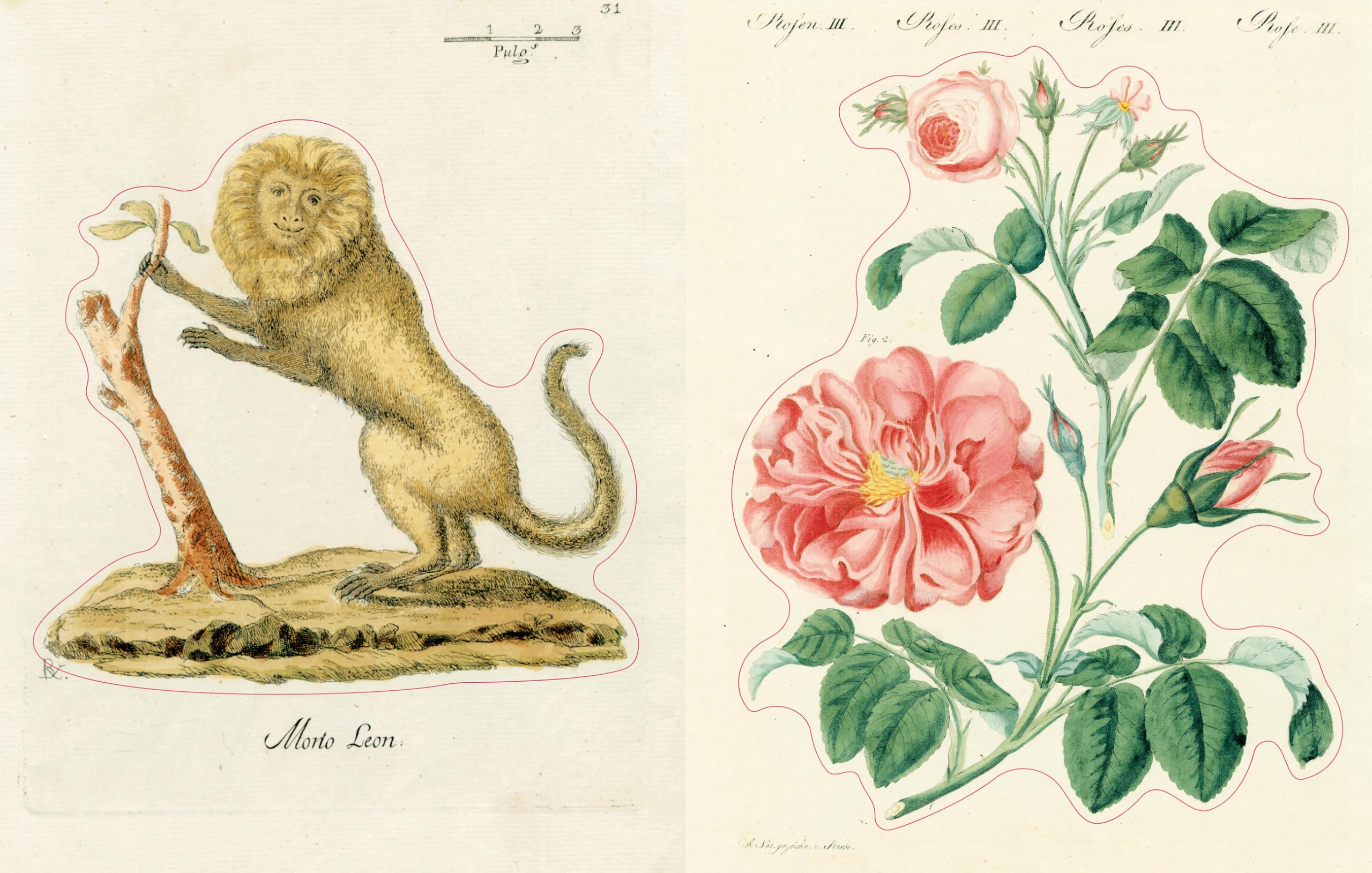 John Derian Sticker Book II /anglais