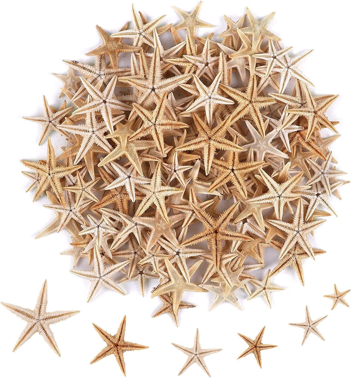 ChicAbode 100 Pcs Small Starfish Star Sea Shell Beach for Craft, 0.4""-1.9""Starfish, Easily Be Spray Painted, Full of Festival Atmosphere, for Wedding Decor, Beach Theme Party, Home Decoration