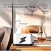 Product Photo 2