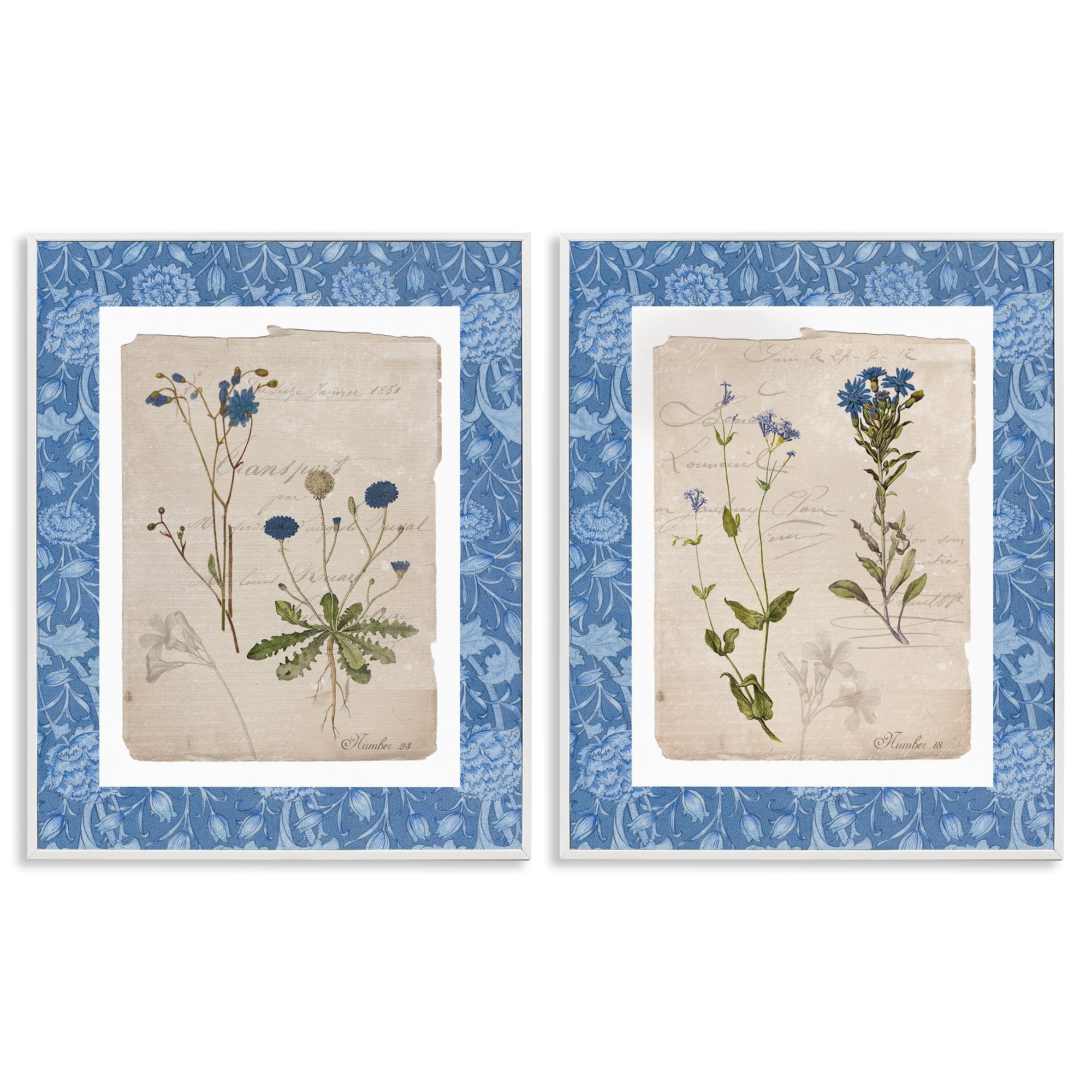 'Blue Botanical Herbs'| 2pc Framed Giclee Art Set 2