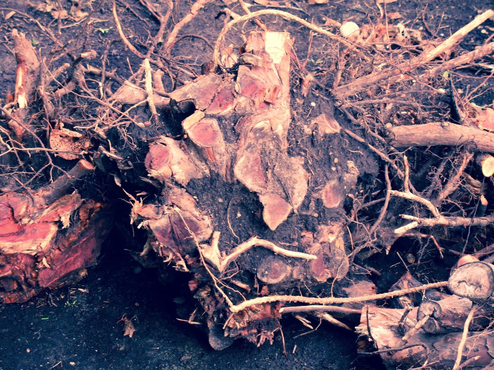 Hi-Lift Patriot Edition blue and white finish