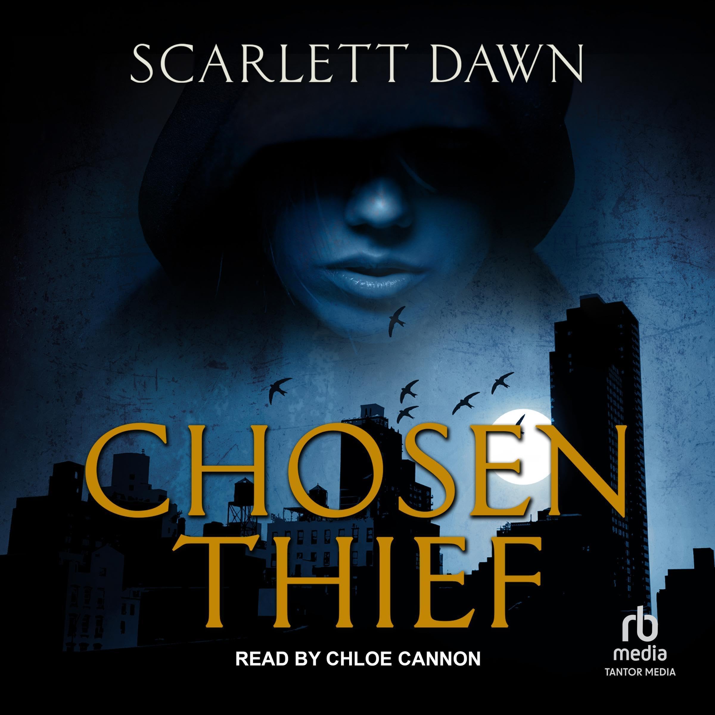 Cover art for Chosen Thief