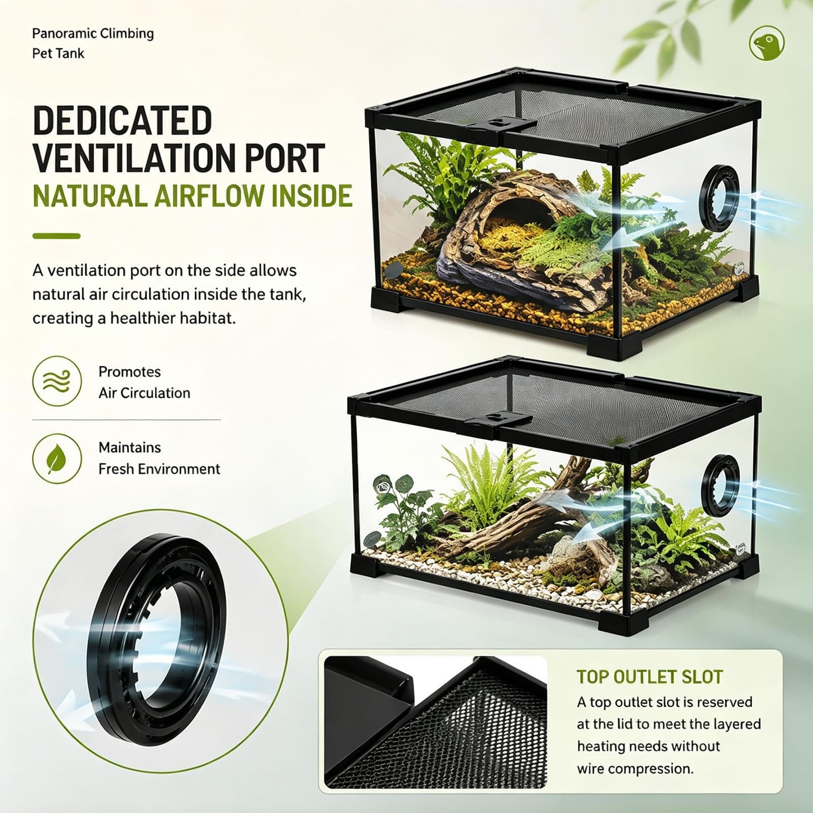 Panoramiczne Szklane Terrarium dla Gadów