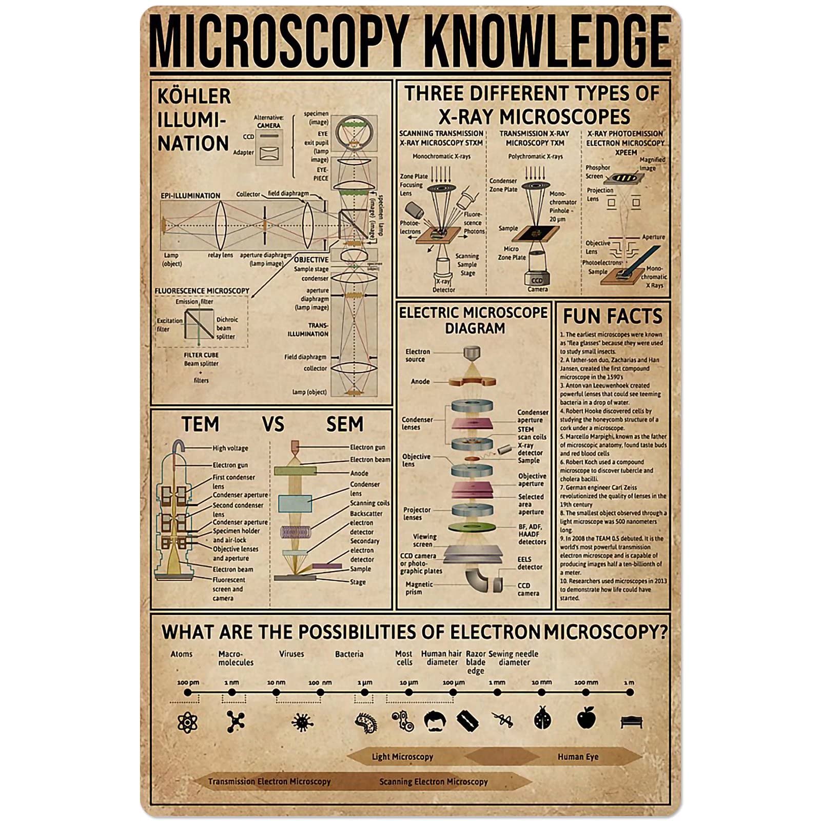 Microscopy Knowledge Metal Tin Sign Anatomy Guide Tin Poster Wall Decor Guide Chart Home Decor Bedroom Decor Club Decor Plaque 12x16 Inches