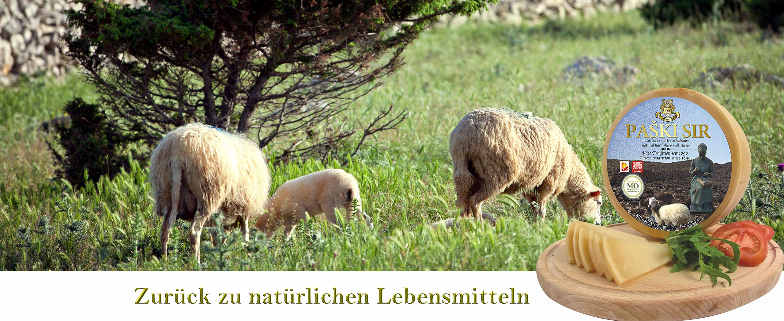 PAGER KÄSE - PAŠKI SIR Schafskäse min 300g Laktosefrei - veredelt mit dem Meersalz aus der Saline von Pag