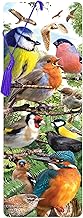 3D LiveLife Bookmark - Nature's Home from Deluxebase. Cute Lenticular Bird Page Marker. Animal Themed Accessories for Book Lovers. Small Gifts for Men, Women, Writers and Teachers.
