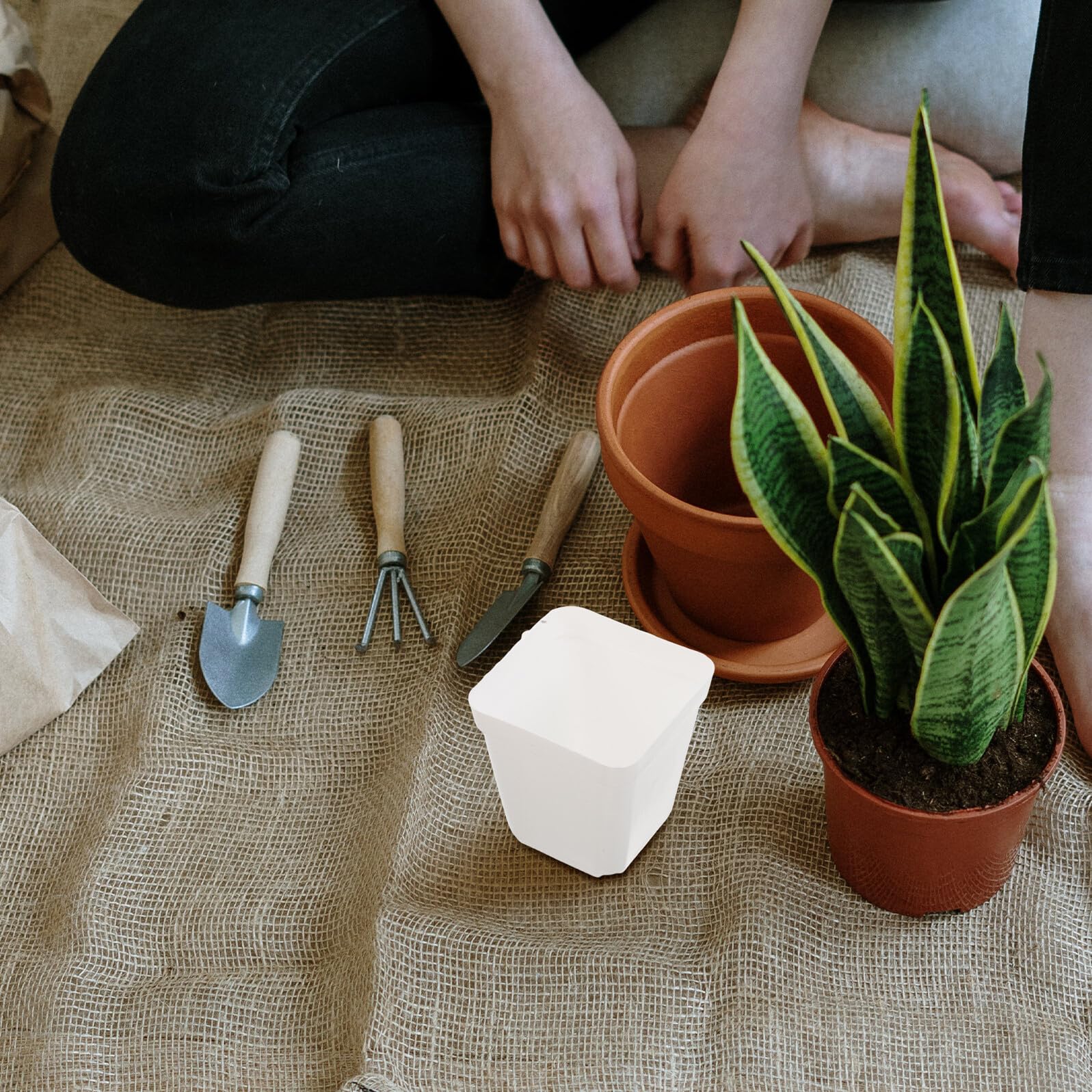 Hemobllo Lot de 100 Pots Carrés en Plastique Blanc avec Drainage Godets de Semis pour Bulbes et Plantes Grasses Jardinières Carrées Légères pour Jardinage Intérieur et Réutilisable