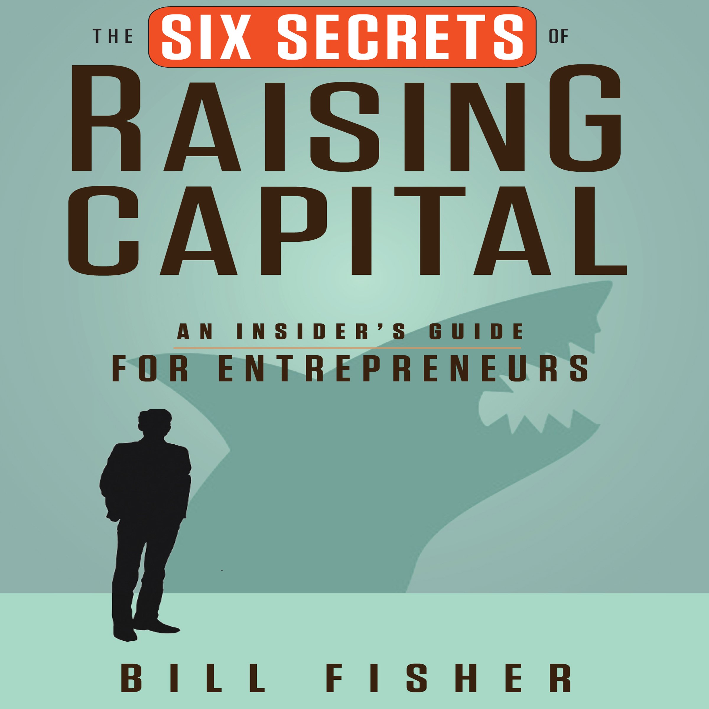 Cover art for The Six Secrets of Raising Capital