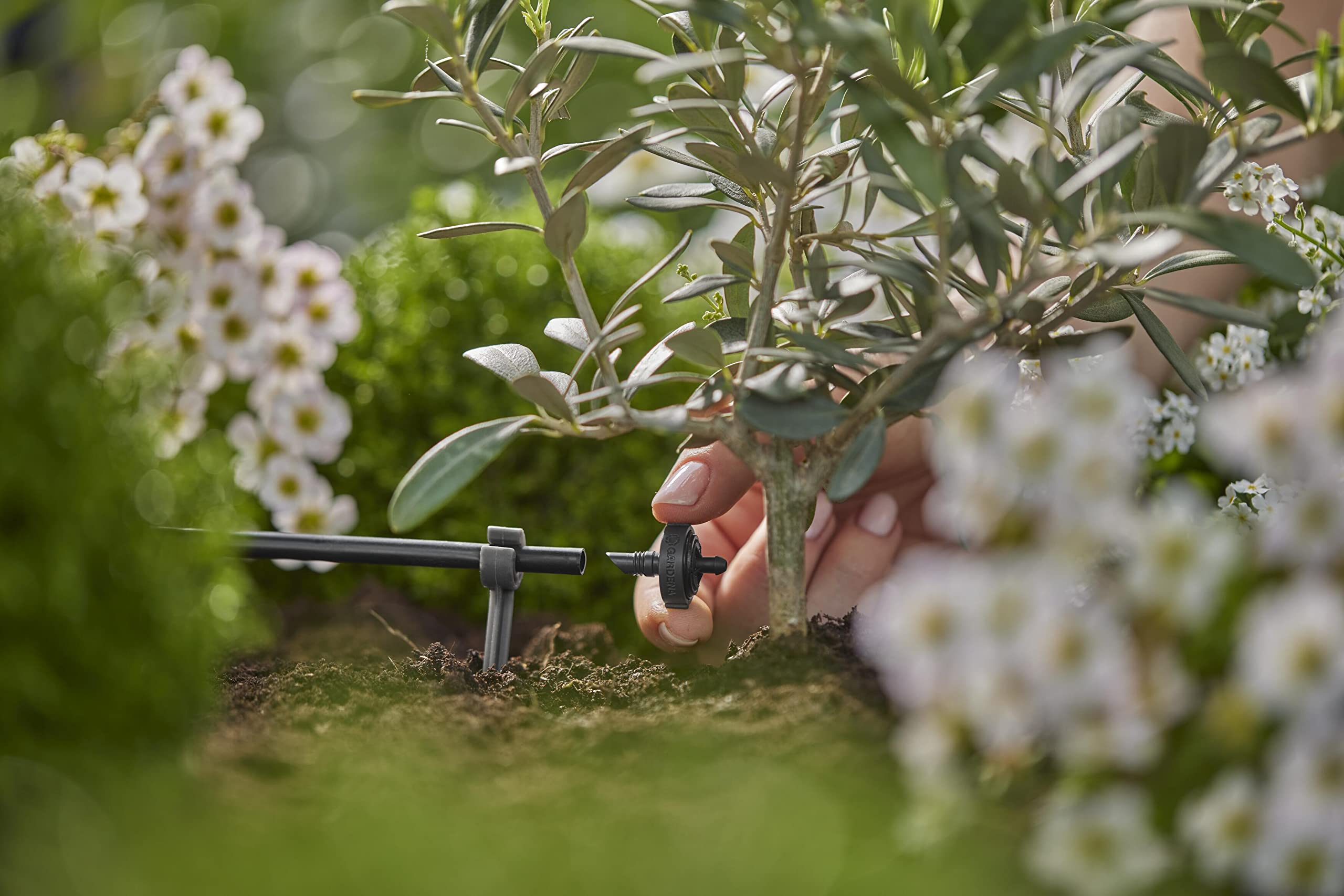 Gardena system Micro-Drip kroplownik rzędowy 2 l/h, regulacja ciśnienia: Kroplownik końcowy do pojedynczych roślin z różną wysokością donicy, stałe podawanie wody przy 0,5 do 4 bar (13302-20)