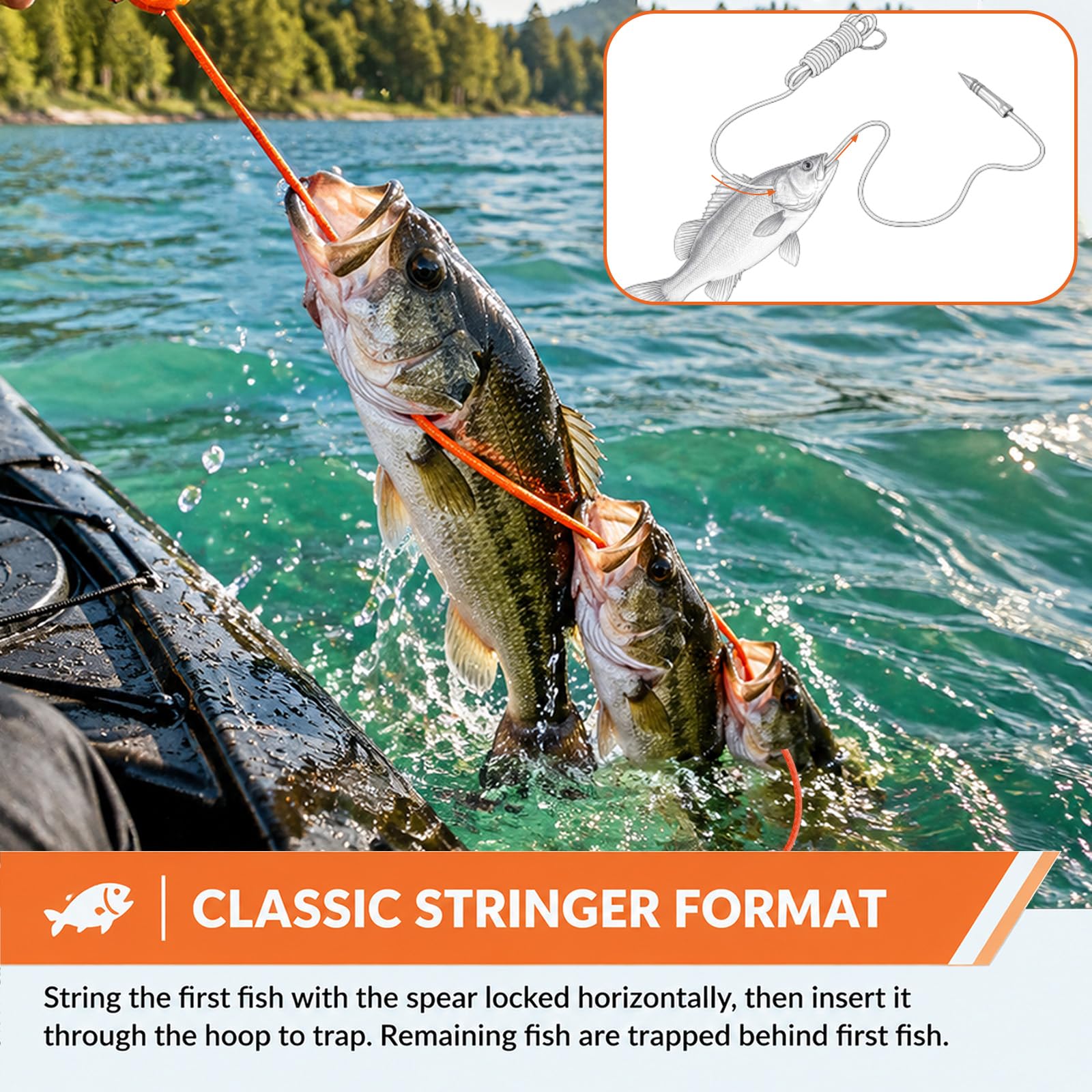 DAOLONG Fishing Stringer - 2 Pack 10ft -6