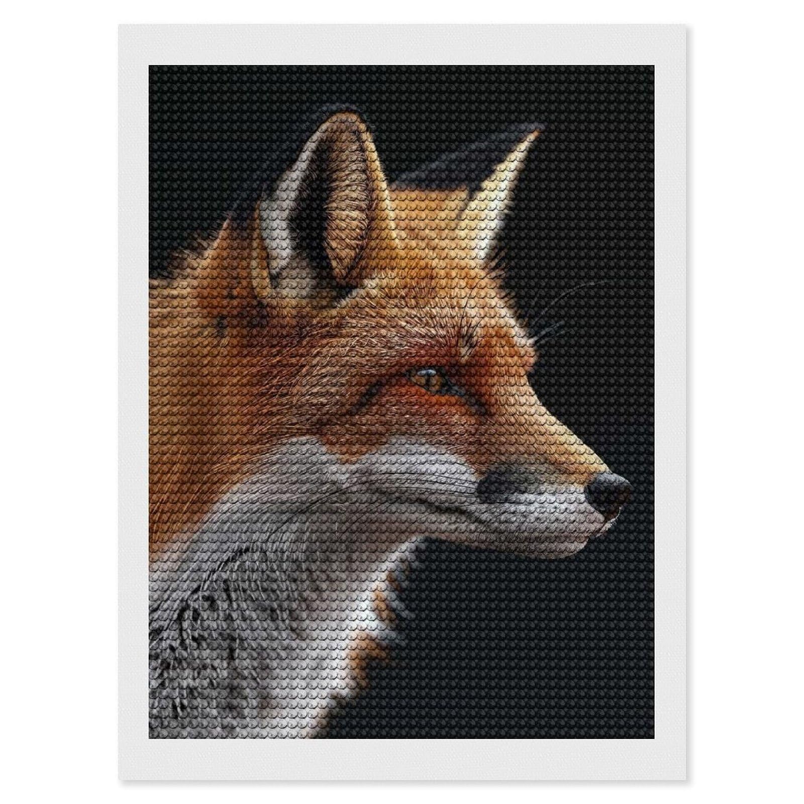 Junmoney Fox DIY Diamond Art Canvas Kit 12"x16", for Adults, Decorate Your Room, Gift Idea, Modern Decor, Finish and Display