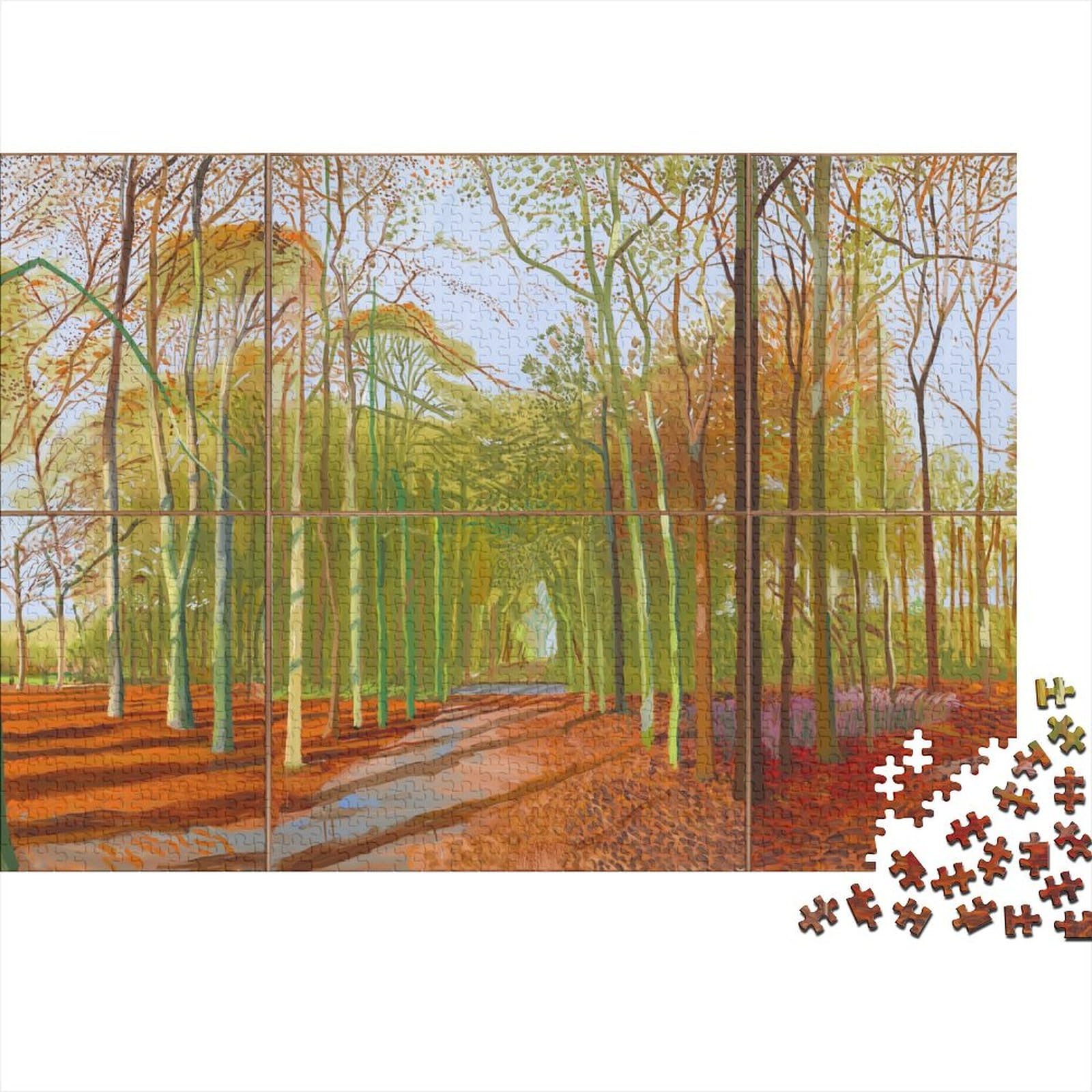 David Hockney Puzzle 1000 Pieces Jigsaw Wooden, Museum Puzzles Adults, World Famous Paintings Puzzles 1000 Pcs Jigsaws, Oil Painting Puzzle Adolescents, Difficult And Challenge