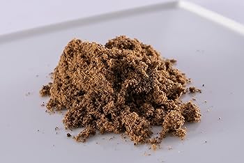 ヘラクレス3亜種 バリエーションセット Amazon | ヘラクレスヘラクレス初ニ令幼虫3匹セット | BIG HORN